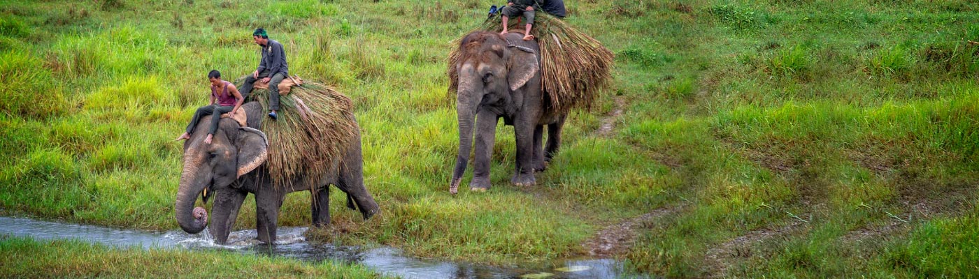 Chitwan