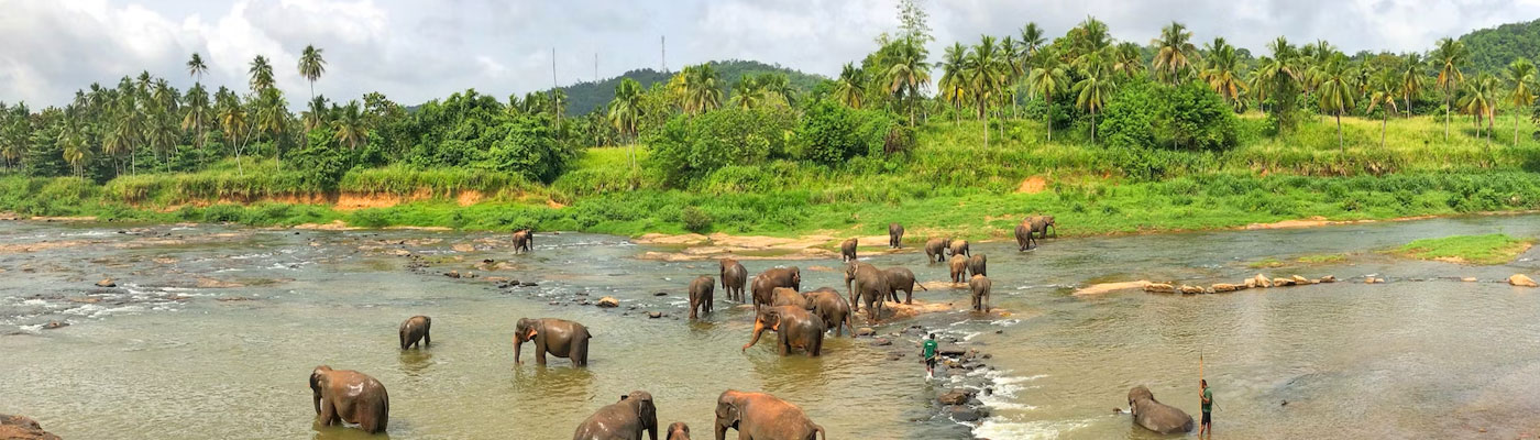Sri Lanka