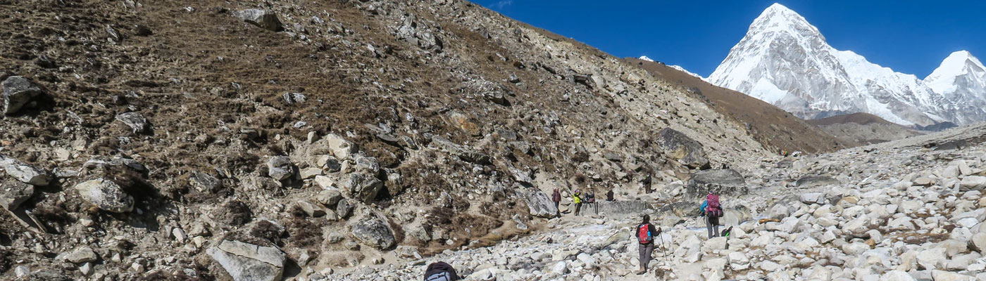 Himalayan