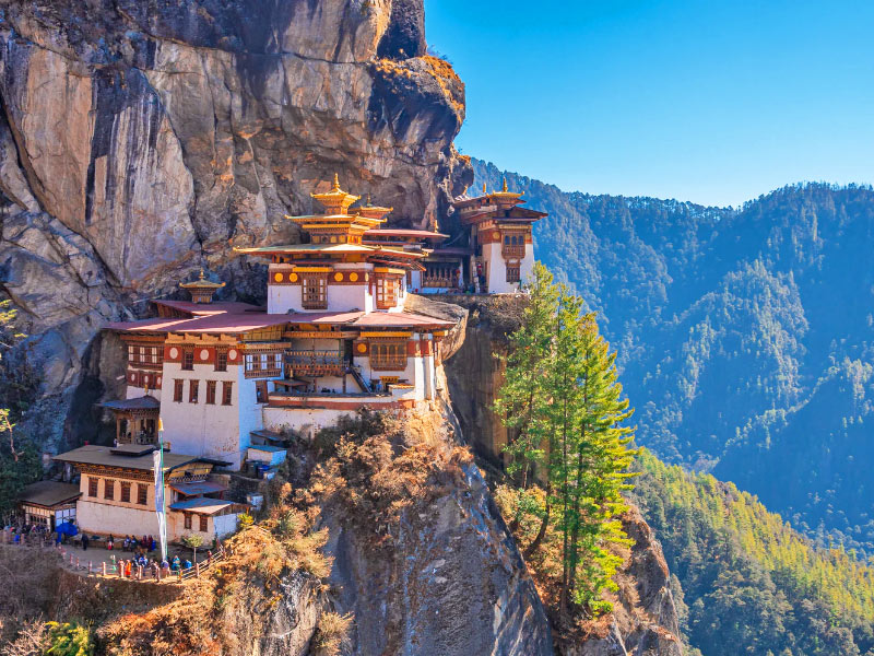 Paro