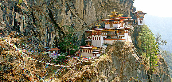 Tiger Nest